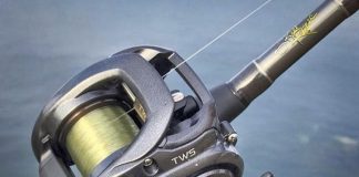 Best Baitcasting Reels of 2019