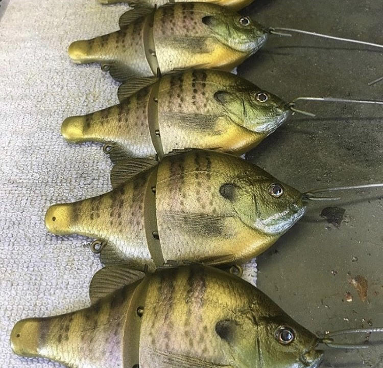How to Fish Big Swimbaits for Big Bass