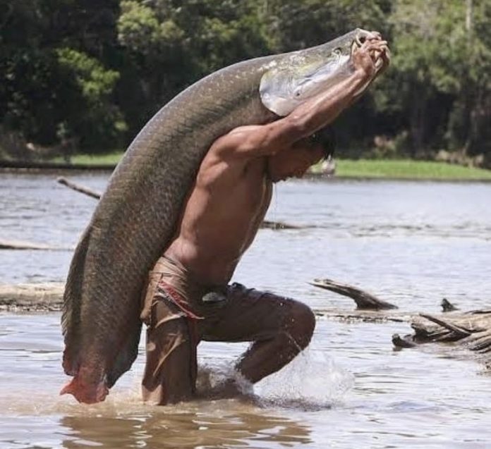 Amazon River Fishing 101