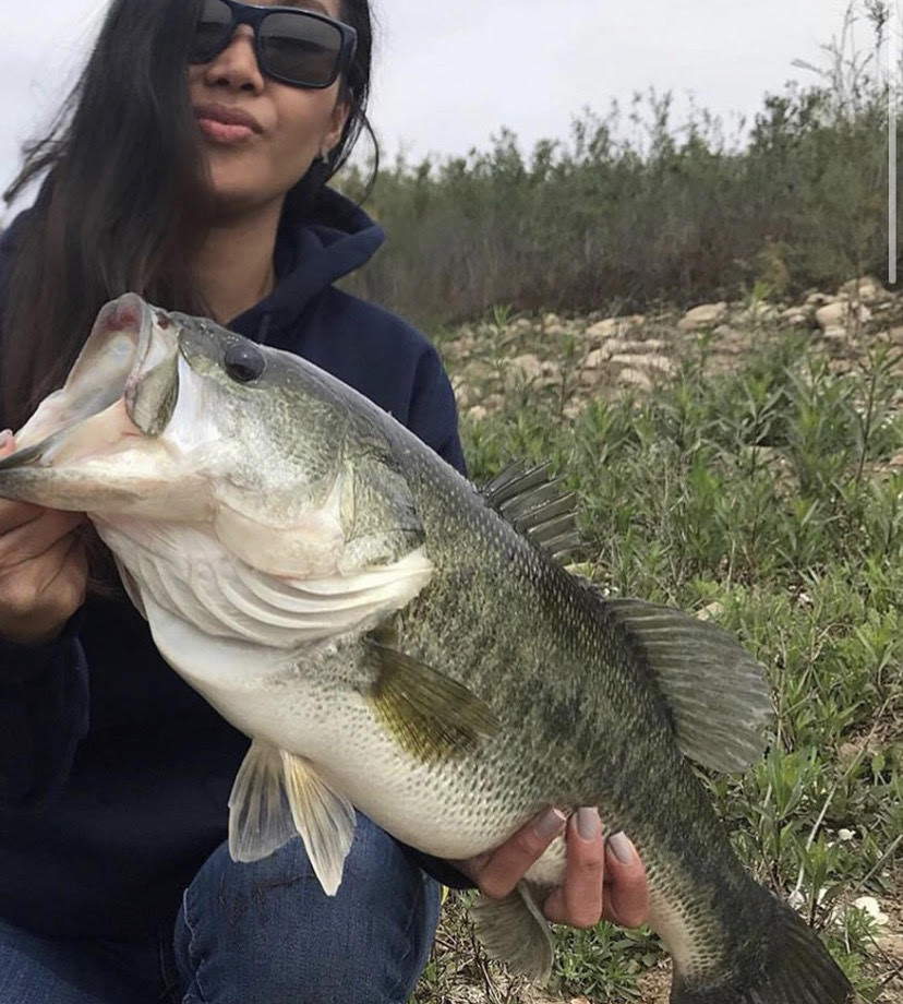 The Ultimate Fall Bass Fishing Tips to Get You on the Hogs This