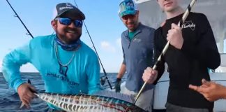 Darcizzle Offshore