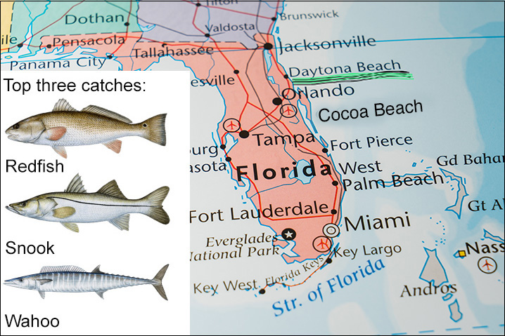Map of Florida showing Daytona Beach and top three fish species to catch there: Redfish, Snook, and Wahoo