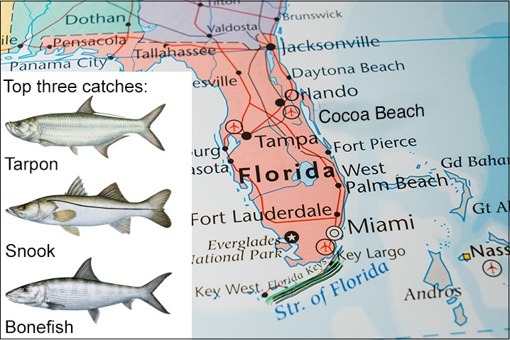 Florida map showing Florida Keys and best fish to target there: Tarpon, Snook, and Bonefish