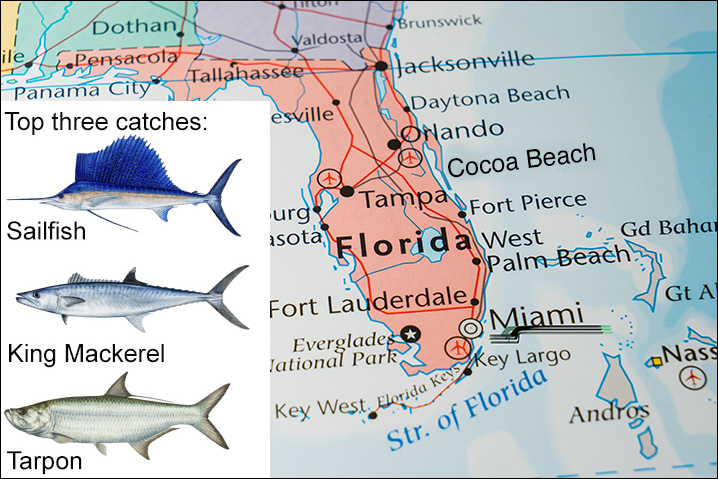 Florida map showing Miami and best fish species to get there including Sailfish, King Mackerel, and Tarpon
