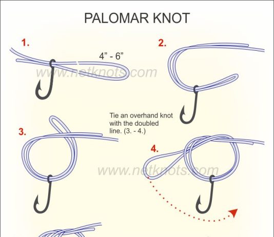 The Palomar Knot is a Reliable Fishing Knot for Success
