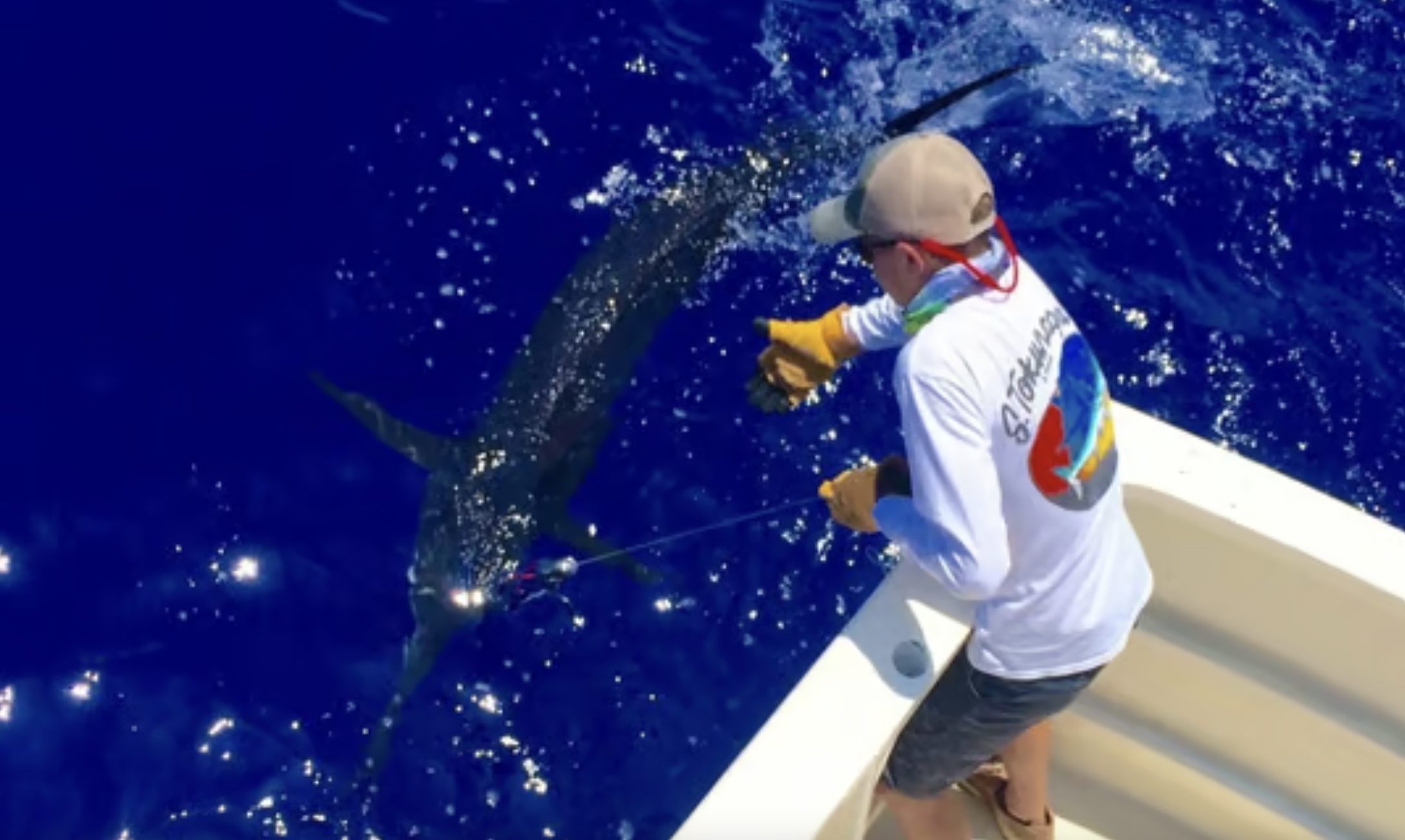 Unlocking the Ocean's Secrets: Your Guide to Offshore Fishing