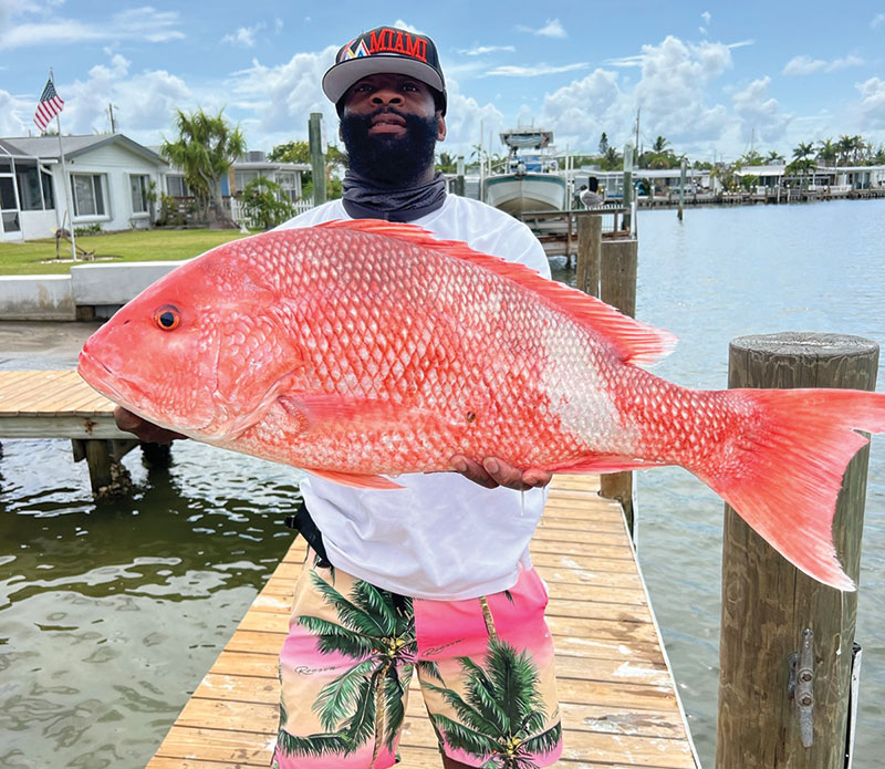 Mangrove Snapper Fishing Guide  How to Catch a Mangrove Snapper