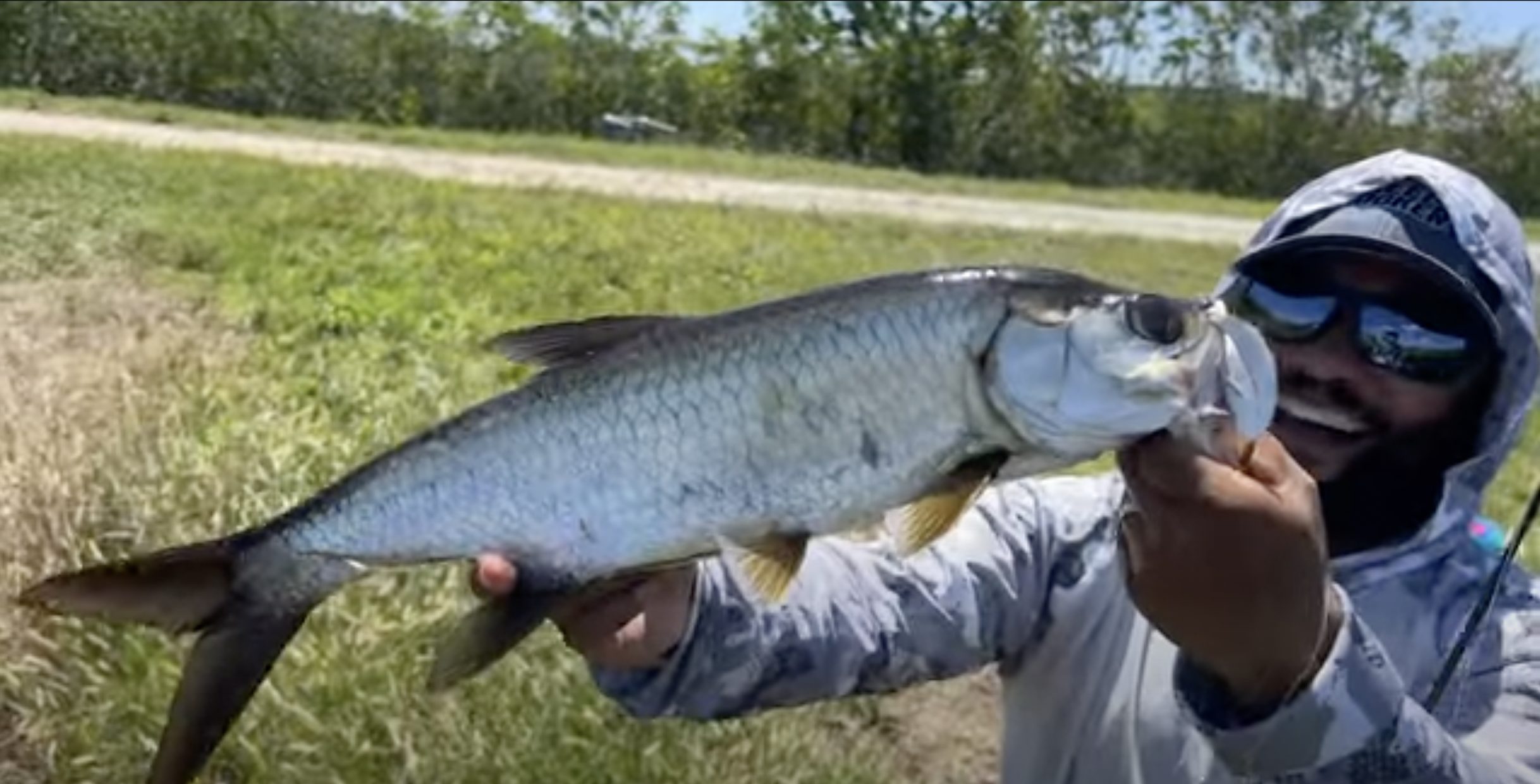 Can Tarpon Live in Freshwater  