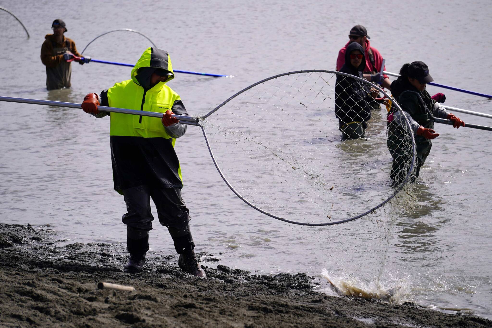 The Best Uses for a Dip Net in Fishing